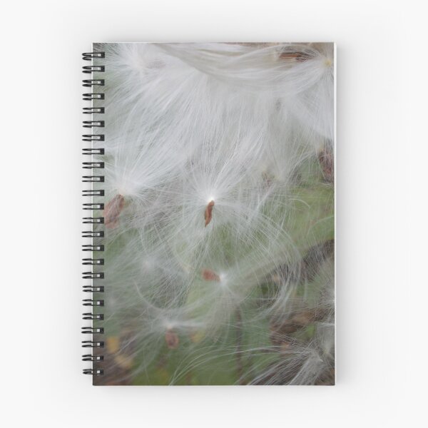 Artikelvorschau, Fluffy Seeds - Original Photography entworfen und verkauft von JulienneJc.