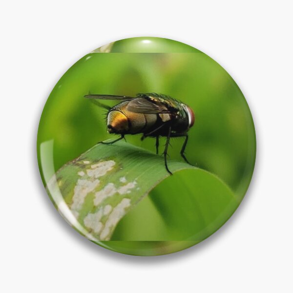 Artikelvorschau, Fly Friend - Original Photography entworfen und verkauft von JulienneJc.