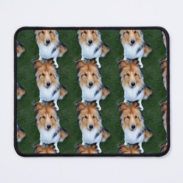 Item preview, Rough Collie Sitting Pattern designed and sold by Forever-Collie.
