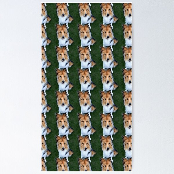 Item preview, Rough Collie Sitting Pattern designed and sold by Forever-Collie.