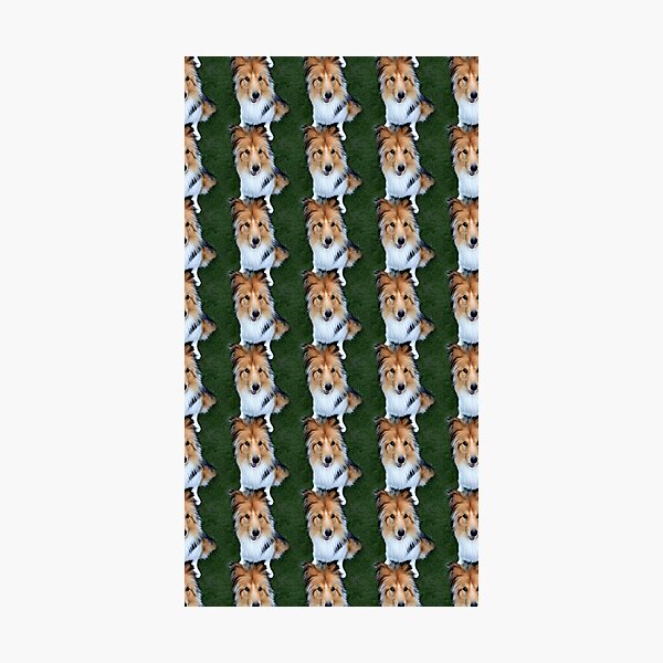 Item preview, Rough Collie Sitting Pattern designed and sold by Forever-Collie.