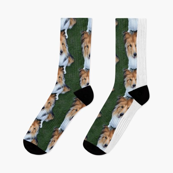 Item preview, Rough Collie Sitting Pattern designed and sold by Forever-Collie.