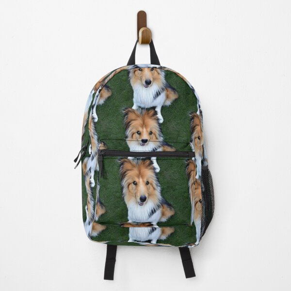 Item preview, Rough Collie Sitting Pattern designed and sold by Forever-Collie.