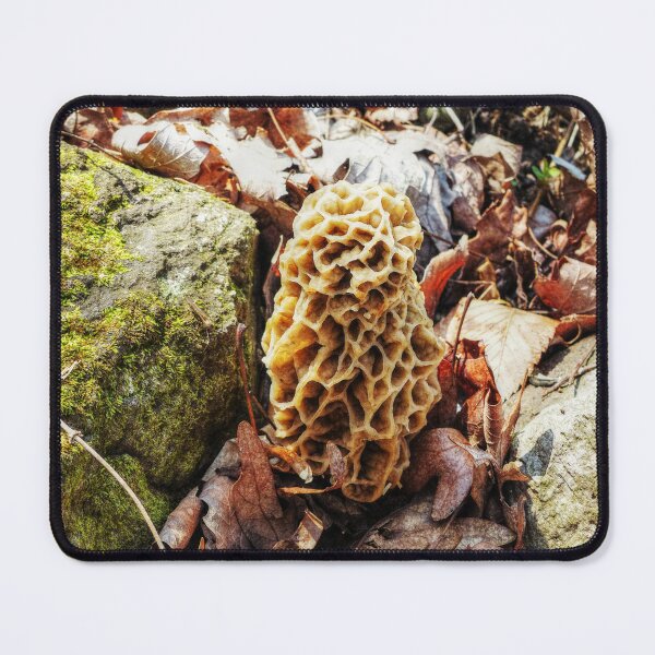 Item preview, Morel Mushroom in the Wild designed and sold by Frankie Cat Photography.