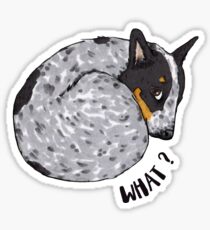 Blue Heeler What, by Artwork by AK Sticker