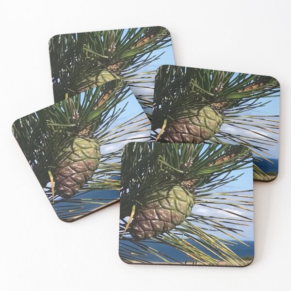 Item preview, Cape Cod pine cone designed and sold by Susan Gallup.