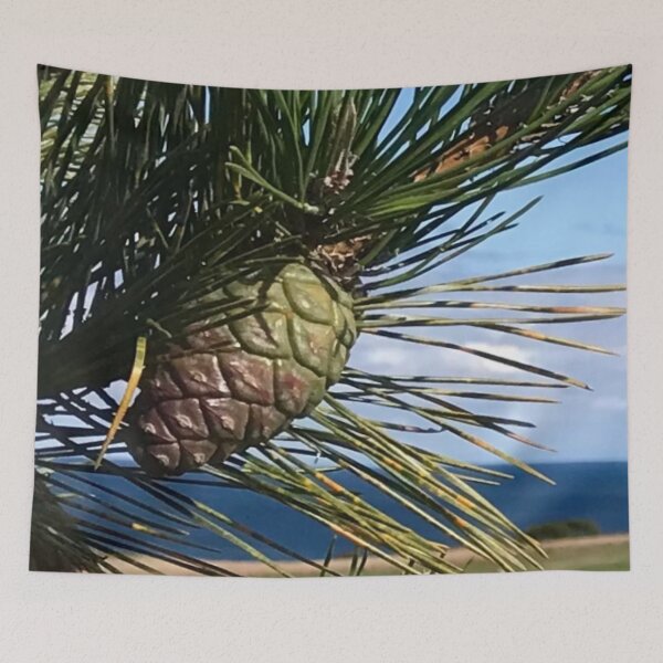 Item preview, Cape Cod pine cone designed and sold by Susan Gallup.
