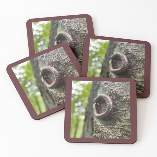 Item preview, Millipede designed and sold by Pisces-Pics.