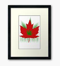 Canada Maple Leaf Framed Print