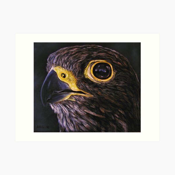 "Peregrine Falcon" - Oil Painting Art Print