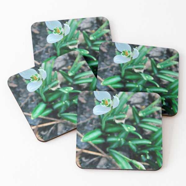 Item preview, first one designed and sold by Julia  Kovtunyak.