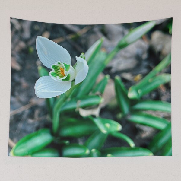 Item preview, first one designed and sold by Julia  Kovtunyak.