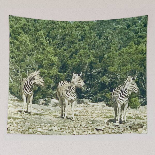 Item preview, Zebra  designed and sold by baksuart.