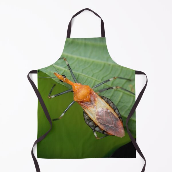 Item preview, A brightly coloured Assassin Bug (Reduviidae) designed and sold by AvonPerception.