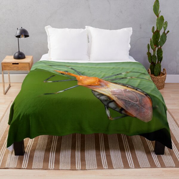 Item preview, Un insecto asesino de colores brillantes (Reduviidae) designed and sold by AvonPerception.