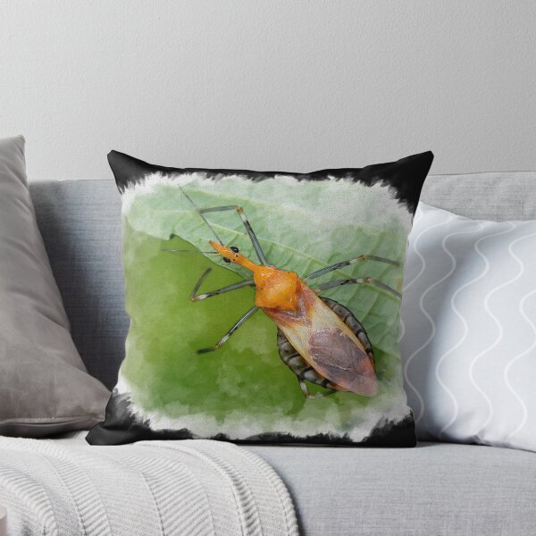 Aperçu de l'œuvre Aquarelle organique d'un insecte assassin aux couleurs vives (Reduviidae) créée et vendue par AvonPerception.