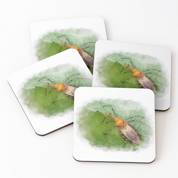 Item preview, Organic watercolour of a brightly coloured Assassin Bug (Reduviidae) designed and sold by AvonPerception.