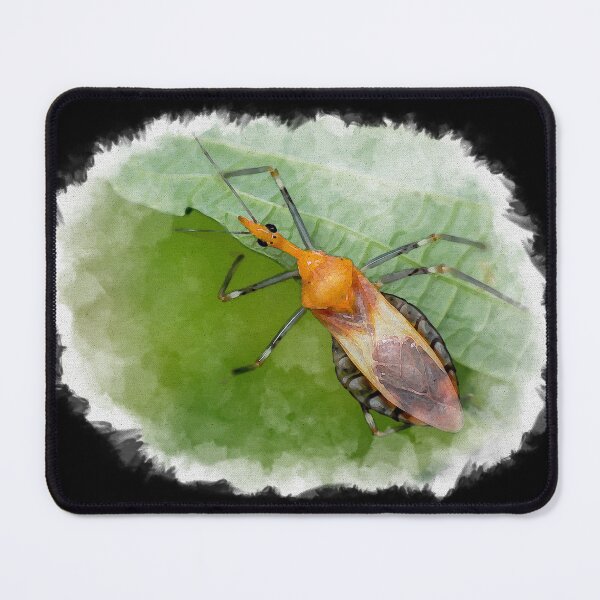 Item preview, Organic watercolour of a brightly coloured Assassin Bug (Reduviidae) designed and sold by AvonPerception.