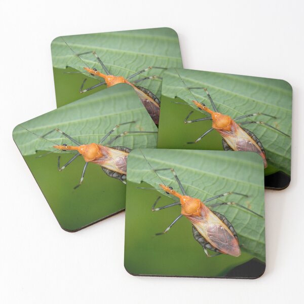 Item preview, A brightly coloured Assassin Bug (Reduviidae) designed and sold by AvonPerception.