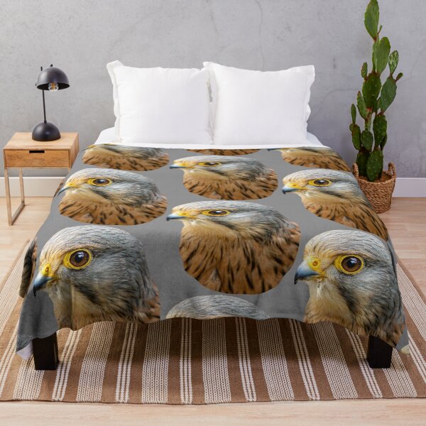 Item preview, Head of a male Kestrel designed and sold by Dalyndigital Photography.
