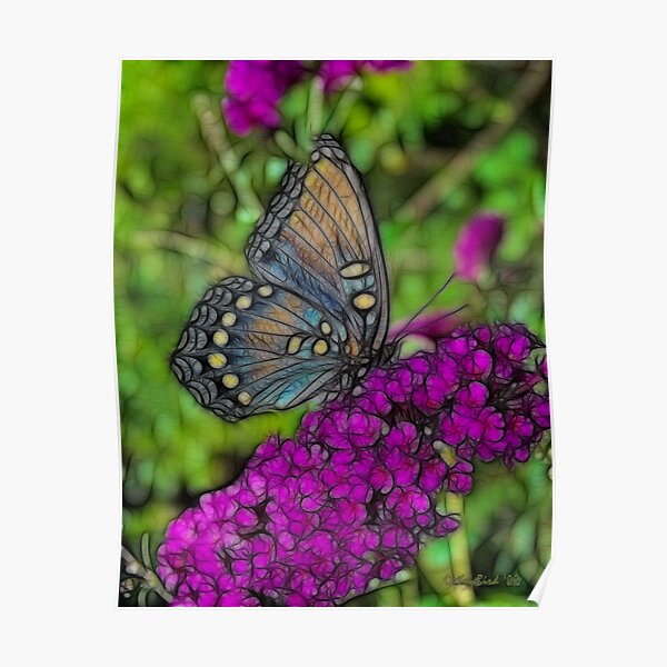 Butterfly In Stained Glass  Poster