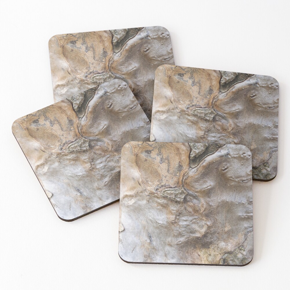 Item preview, Coasters (Set of 4) designed and sold by Treebarkart.