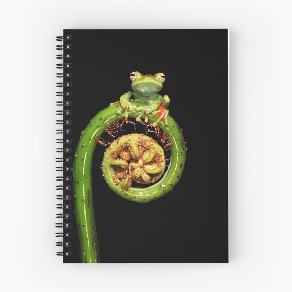 Item preview, Frog & Fiddlehead designed and sold by mlorenz.