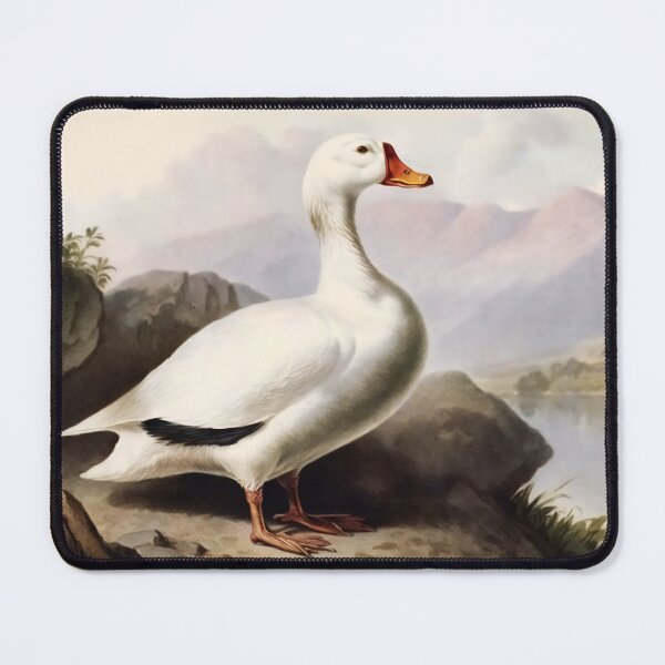 Item preview, White Duck designed and sold by WalterWhatFace.