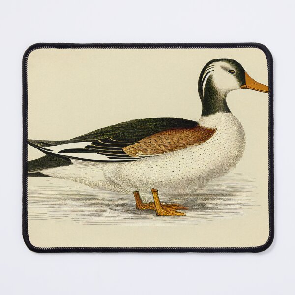 Item preview, Duck Painting designed and sold by WalterWhatFace.