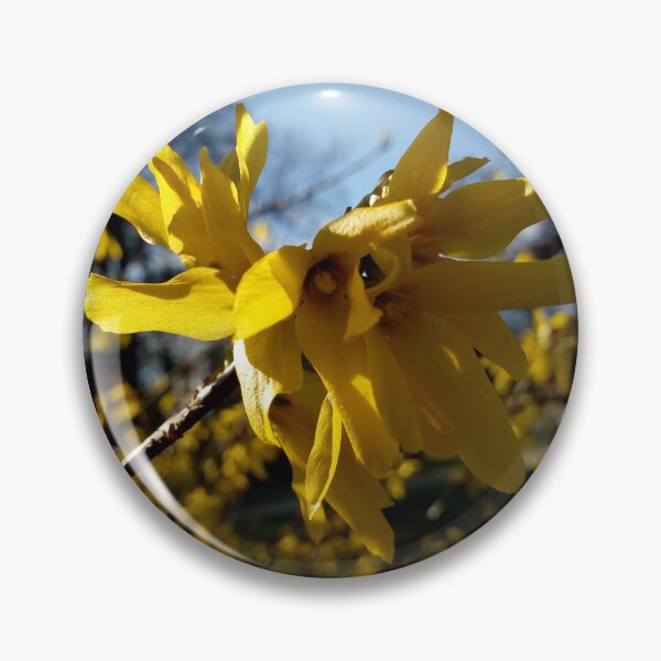 Item preview, Happy spring vibrant forsythias original artwork designed and sold by paragonDesign28.