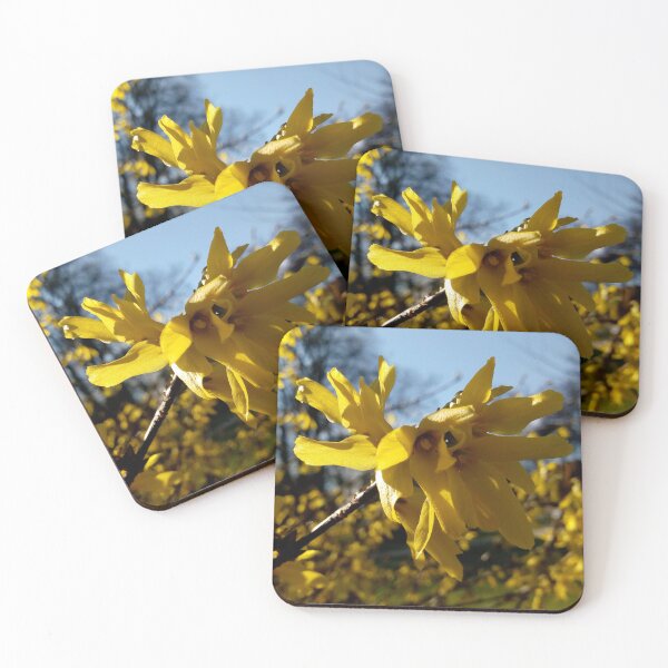 Item preview, Happy spring vibrant forsythias original artwork designed and sold by paragonDesign28.