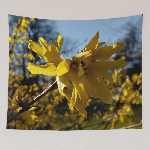 Item preview, Happy spring vibrant forsythias original artwork designed and sold by paragonDesign28.