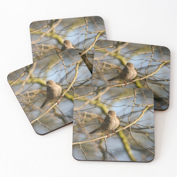 Item preview, Little fluffed up Dunnock on a branch designed and sold by StelleryART.