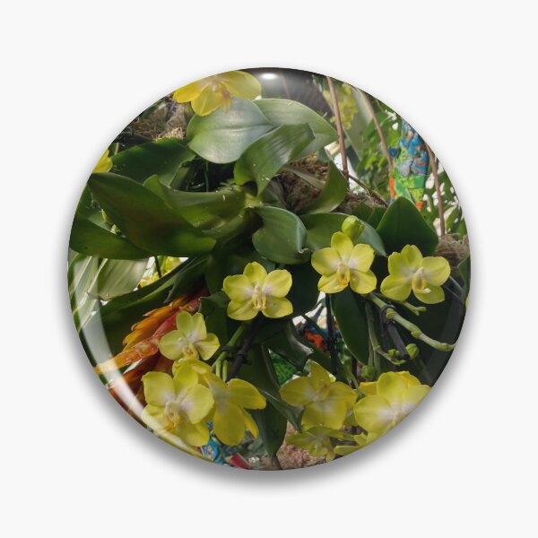 Item preview, Oncidium, flowers designed and sold by Yusein  Ismail.