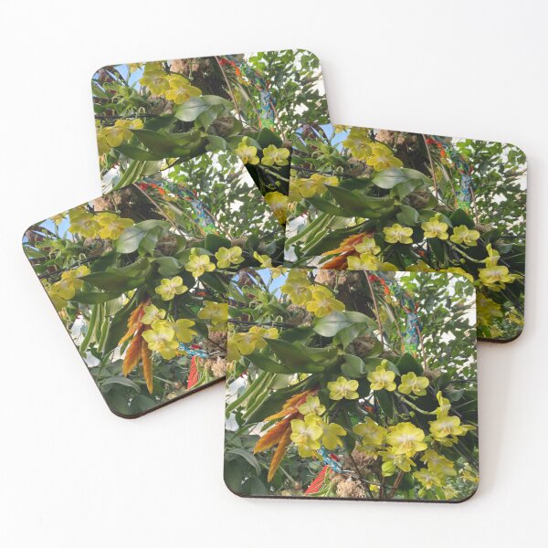 Item preview, Oncidium, flowers designed and sold by Yusein  Ismail.