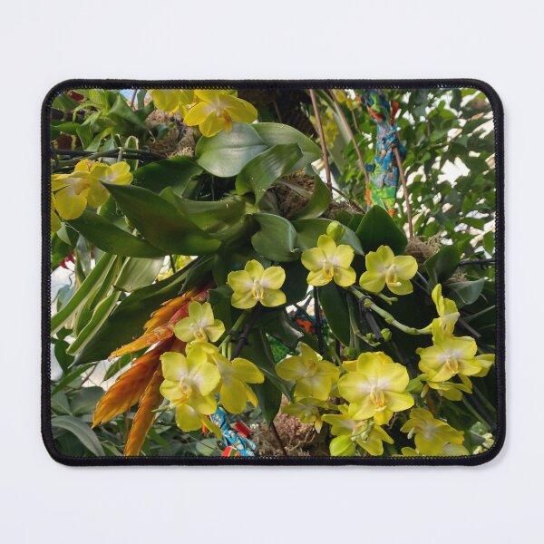Item preview, Oncidium, flowers designed and sold by Yusein Ismail.