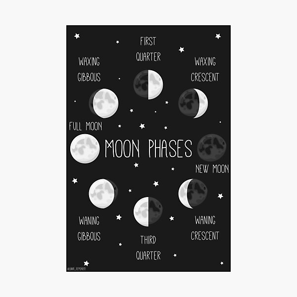 Moon Phases - Print