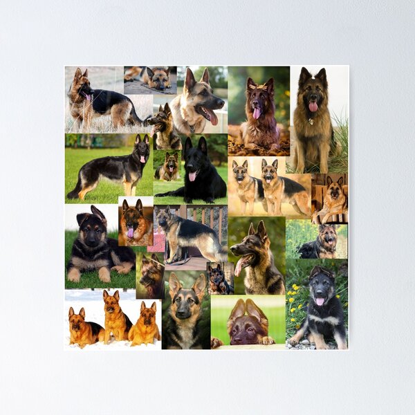 German Shepherd Dog - GSD Collage Jigsaw Puzzle for Sale by