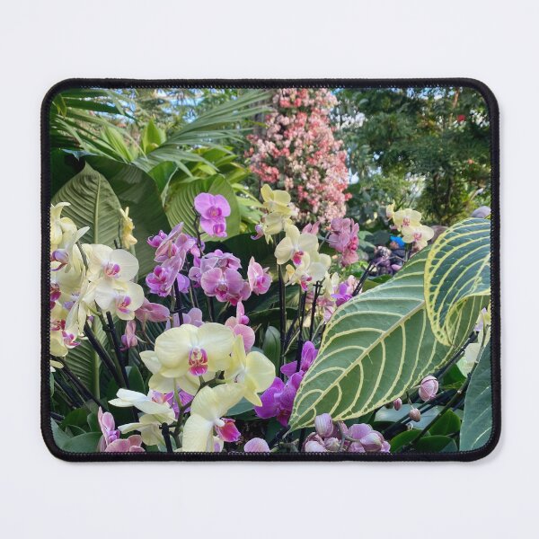 Item preview, Orchid designed and sold by Yusein  Ismail.