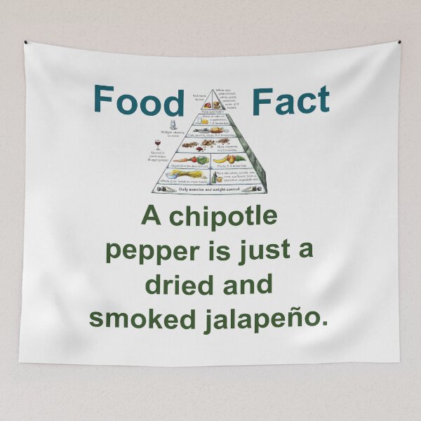 Item preview, A Chipotle Pepper - Food Fact designed and sold by CrankyOldDude.