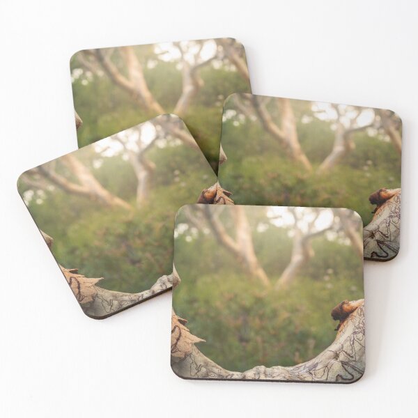 Item preview, Scribbly designed and sold by Geoff Wols.