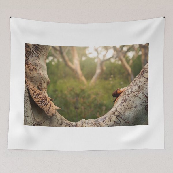 Item preview, Scribbly designed and sold by Geoff Wols.