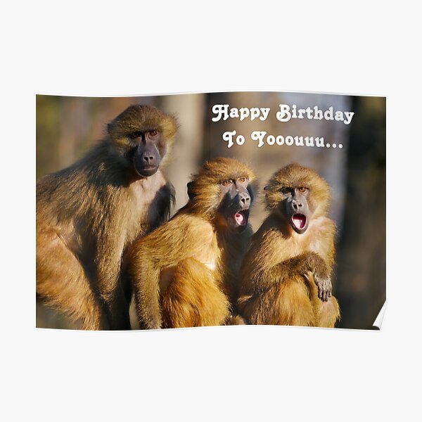 Poster for Sale mit "Lustige singende Affen Berberaffen alles Gute