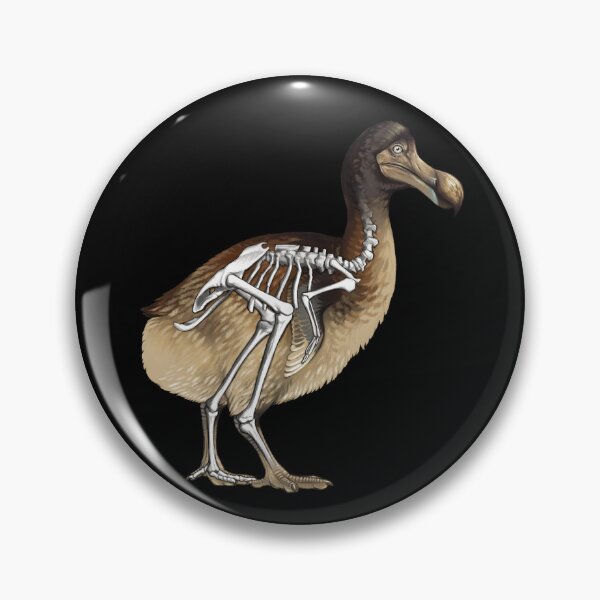 Artikelvorschau, Anatomie des Dodo-Vogelskeletts entworfen und verkauft von Pip Tacla.