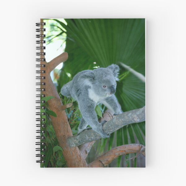 Item preview, Koala Playing designed and sold by Cynthia48.