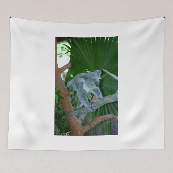 Item preview, Koala Playing designed and sold by Cynthia48.