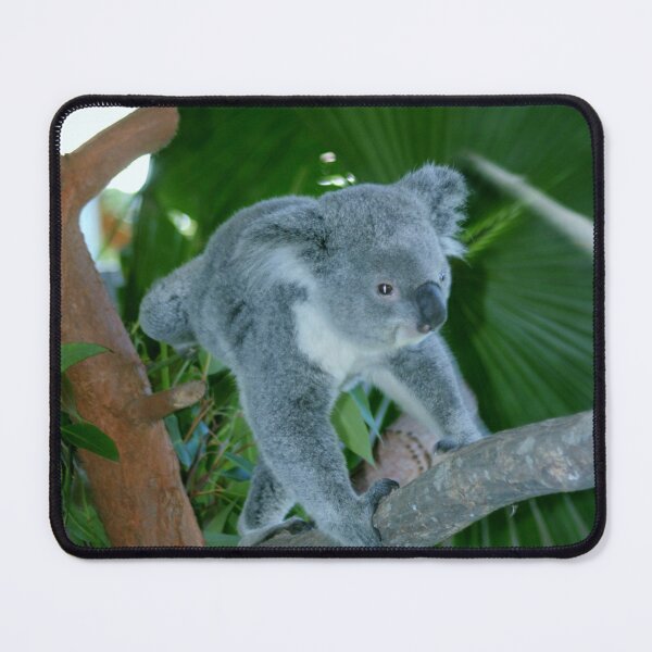 Item preview, Koala Playing designed and sold by Cynthia48.