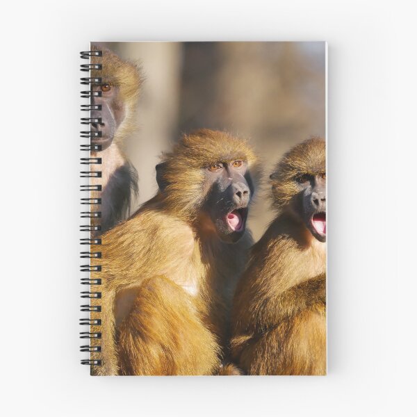 Item preview, Funny Singing Monkeys - Barbary Macaques designed and sold by Madcatsanddogs.