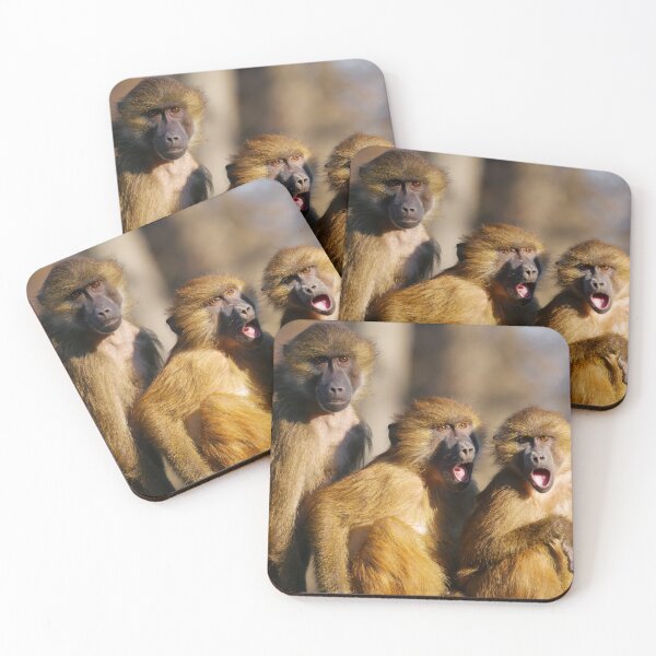 Item preview, Funny Singing Monkeys - Barbary Macaques designed and sold by Madcatsanddogs.