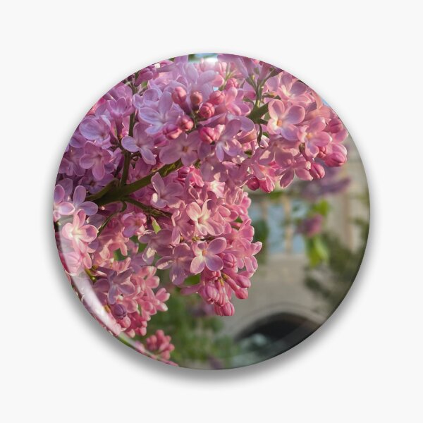 Item preview, The Lilac Archway designed and sold by Pisces-Pics.